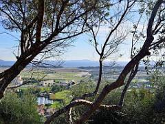 183 HYERES ET SES PALMIERS D15_000045
